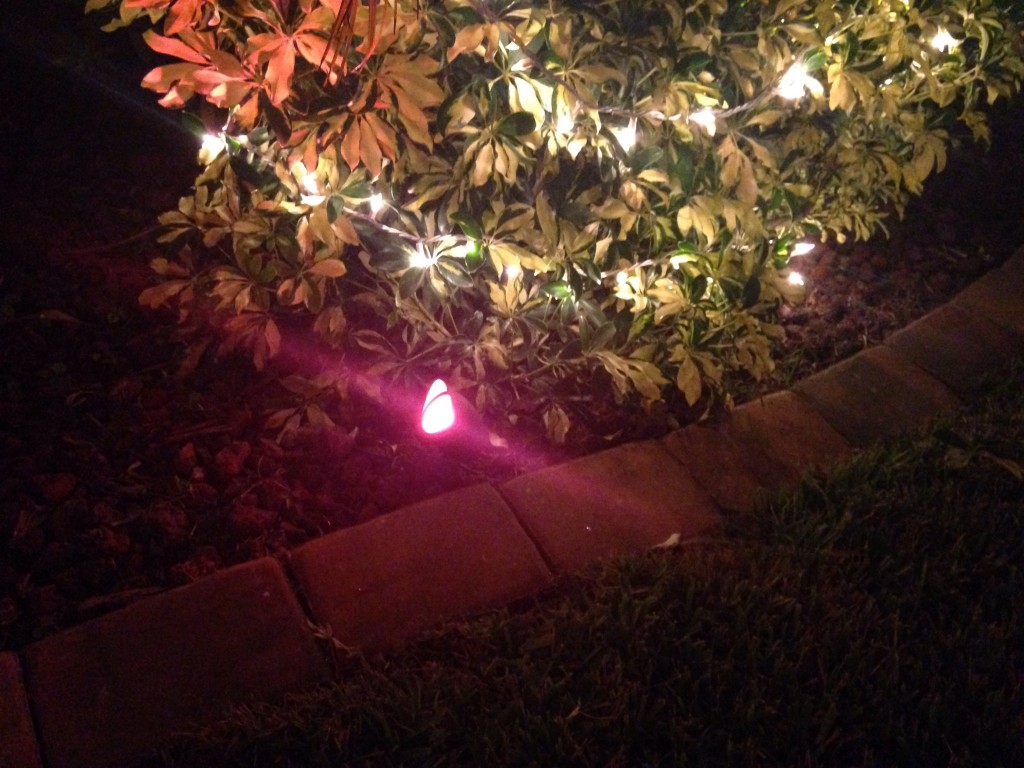 Christmas lighting hacks and tips
